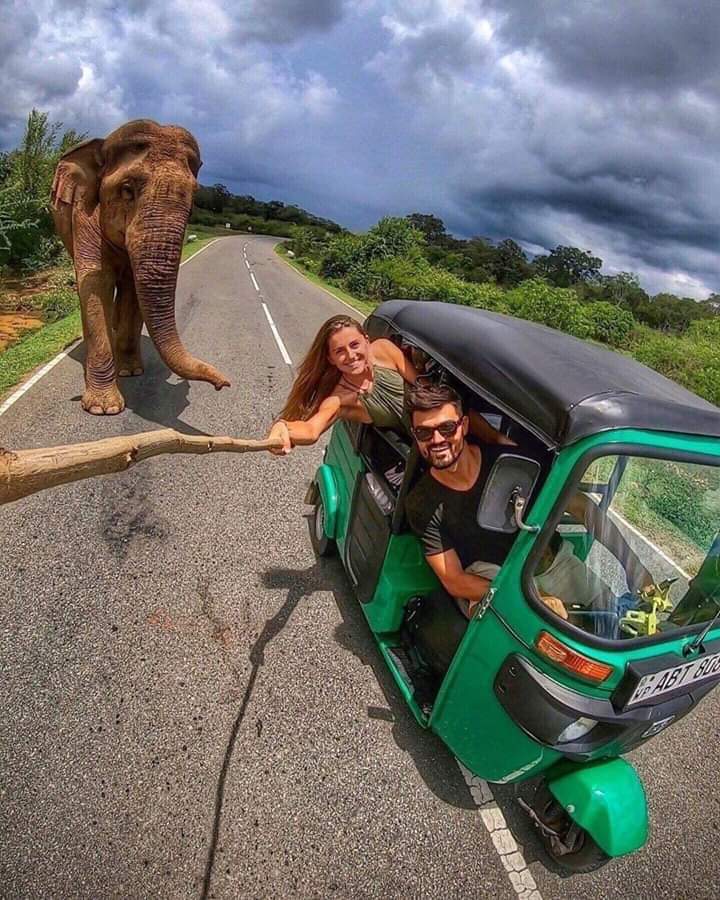 CenterLanka's tweet photo. #Best_tour_plans_to_srilanka
#Negambo #sigiriya #habarana #minneriyanationalpark #sigiriyalionrock #polonnaruwa #anuradhapura #trincomalee #kandy #nuwaraeliya #ella #ellarock #ninearch #rawanawaterfall #yala #udawalawa #tangalle #mirissa #unawatuna #galle #hikkaduwa #bentota https://t.co/saYdPVuLxx