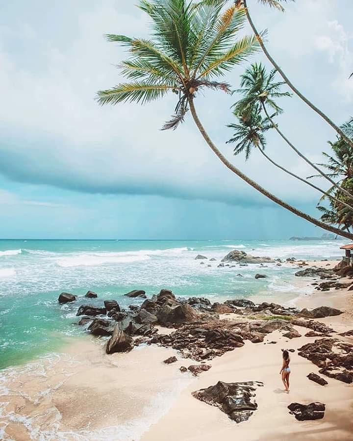 CenterLanka's tweet photo. #Best_tour_plans_to_srilanka
#Negambo #sigiriya #habarana #minneriyanationalpark #sigiriyalionrock #polonnaruwa #anuradhapura #trincomalee #kandy #nuwaraeliya #ella #ellarock #ninearch #rawanawaterfall #yala #udawalawa #tangalle #mirissa #unawatuna #galle #hikkaduwa #bentota https://t.co/saYdPVuLxx