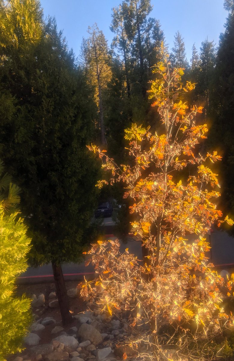 Julia Stratton tweet media