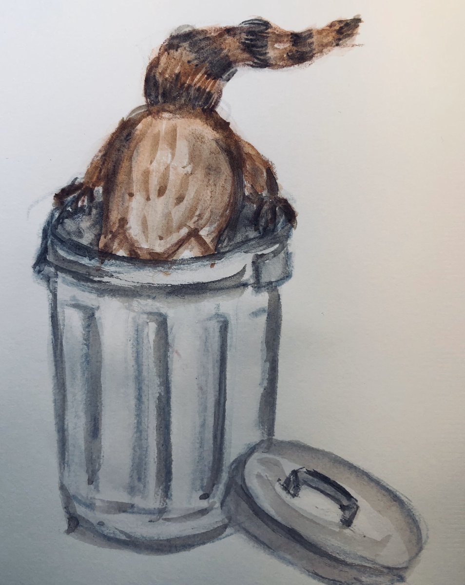 #doodlwashNovember2019
#doodlewashNovember2019FunThingstoDraw
Day 18: Raccoon