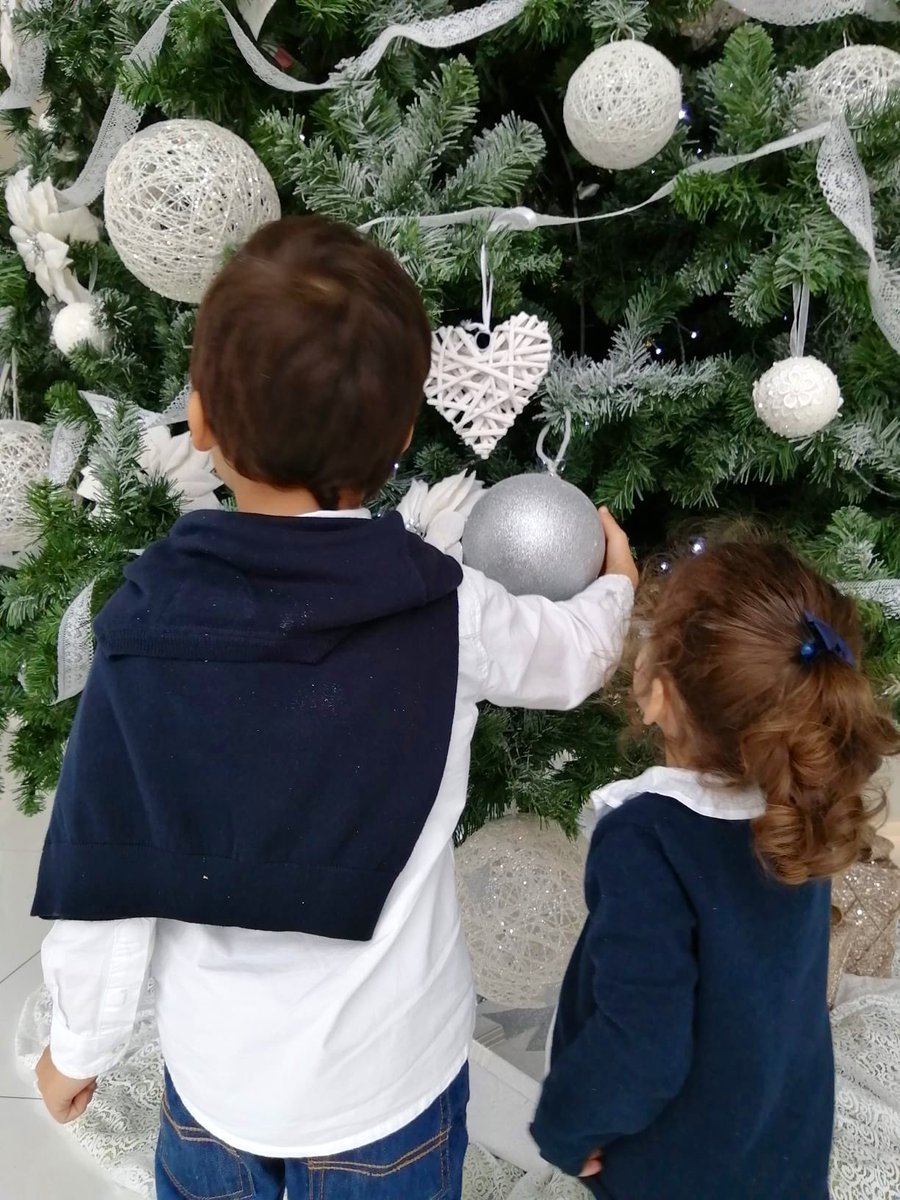 Viana_JL's tweet photo. Great time presenting our work on #exercise & #ckd at the Portuguese Society for the Study of Obesity annual meeting. Thanks #SPEO and #APFE for the joint symposium on exercise physiology and obesity co-morbidities.
PS my kids found the xmas tree much more interesting though 😀 https://t.co/BKj9ufUr2T