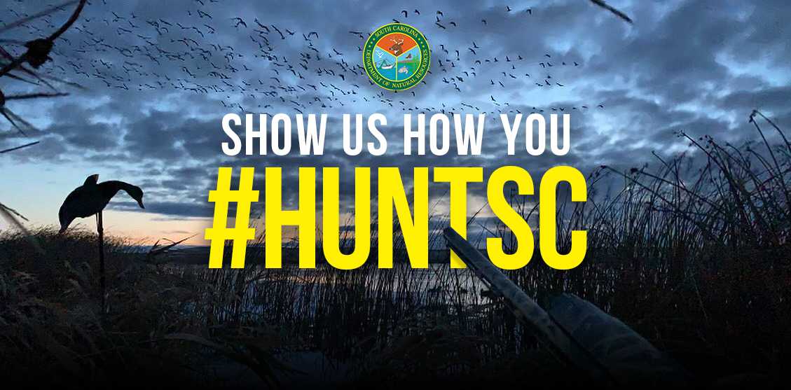 SCDNR's tweet image. WE WANT TO SEE YOUR PHOTOS 📸

➡️ For many families, it's a tradition to wake up and go hunting Thanksgiving morning. This year, we're asking you to share those memories with us.

➡️ Make sure to tag us using #HuntSC or @scndr for a change to be featured!