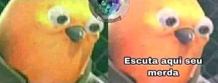 *Postei indireta pro macho*

O idiota visualizou e não respondeu

Eu no chat dele: