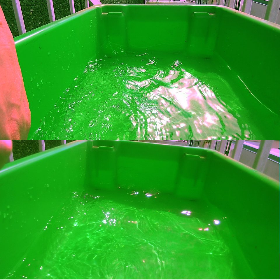 snapinfotech's tweet image. Image shows new glare reduction tech. At the top, our old camera. At the bottom, new modification. You can see a significant sun strike reduction, meaning better visibility -especially on 360 degree cameras. All Snap cams will be shipped with this feature from now on. #EM4FISH