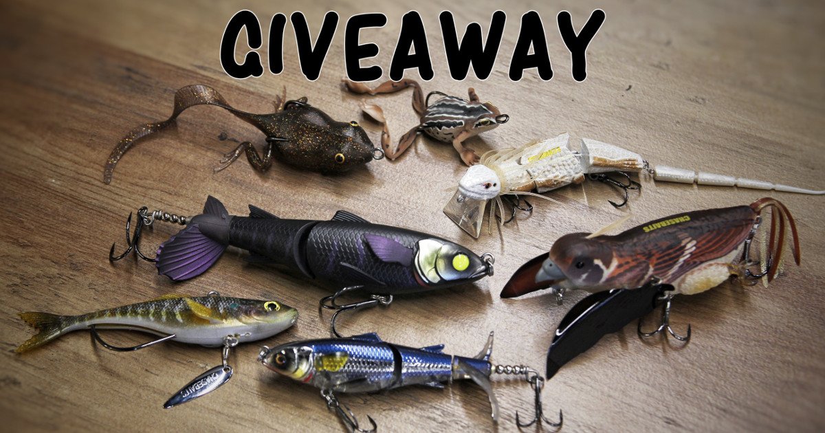 Enter To Win A Chasebaits Prize Package: 
bit.ly/35zA5Wf
#TackleWarehouse | #Chasebaits