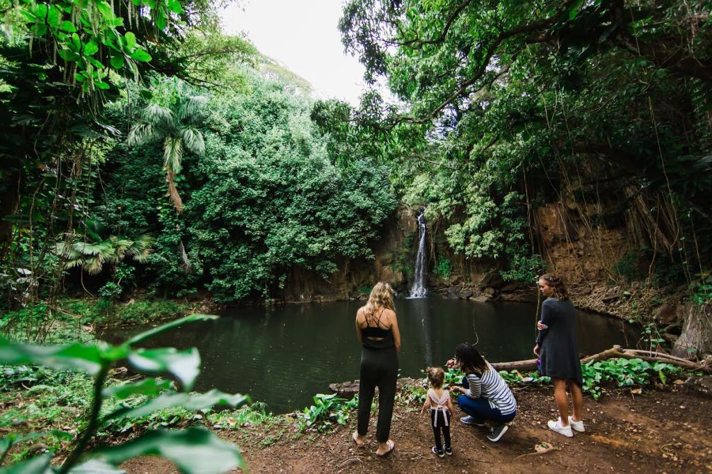 For Kauai On Twitter National Tropical Botanical Garden Unveils