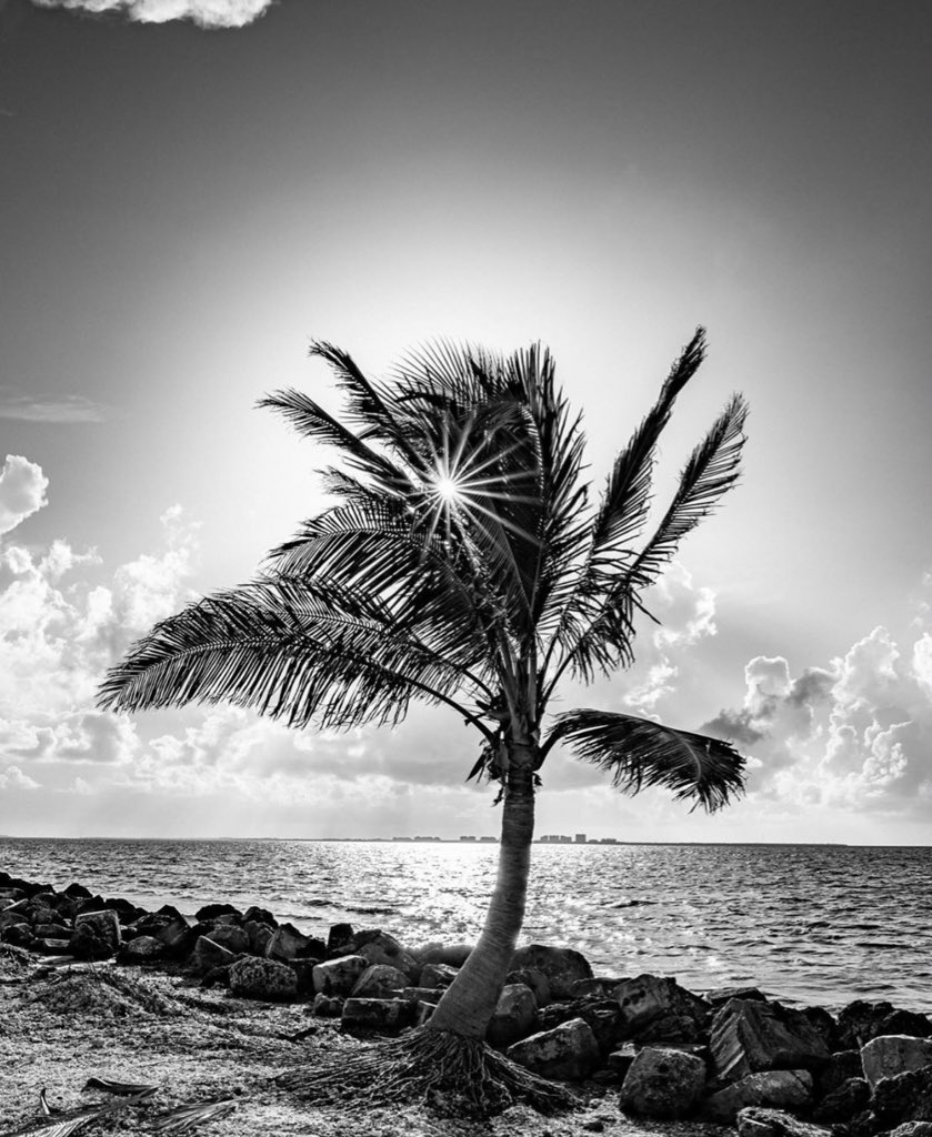 Angell100k's tweet image. I have approached people of good, amen! 🙏🙌

#TM_RUBY #TM_BFF 
#1Drive