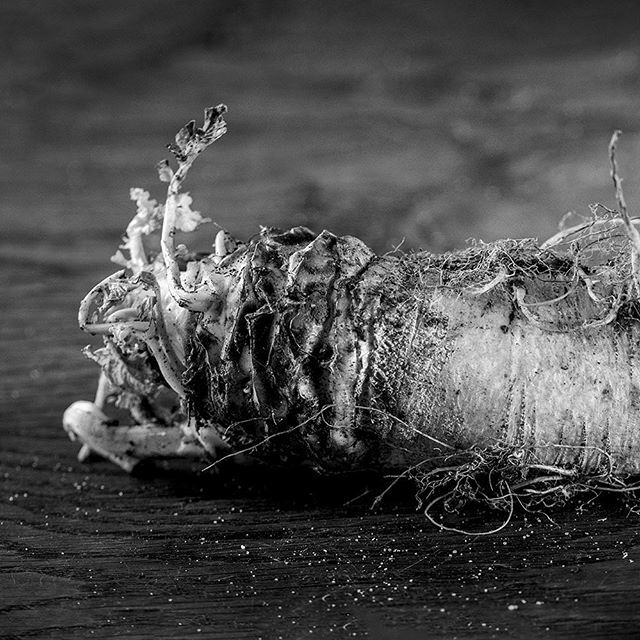 #noiretblanc #blackandwhite #nikon #legume #racine #nature #naturemorte #alien #insecte #extraterrestre #photoculinaire #culinaire #veggie avec @anna_ka_123#noiretblanc #blackandwhite #nikon #legume #racine #nature #naturemorte #alien #insecte #extraterrestre #photoculinaire…