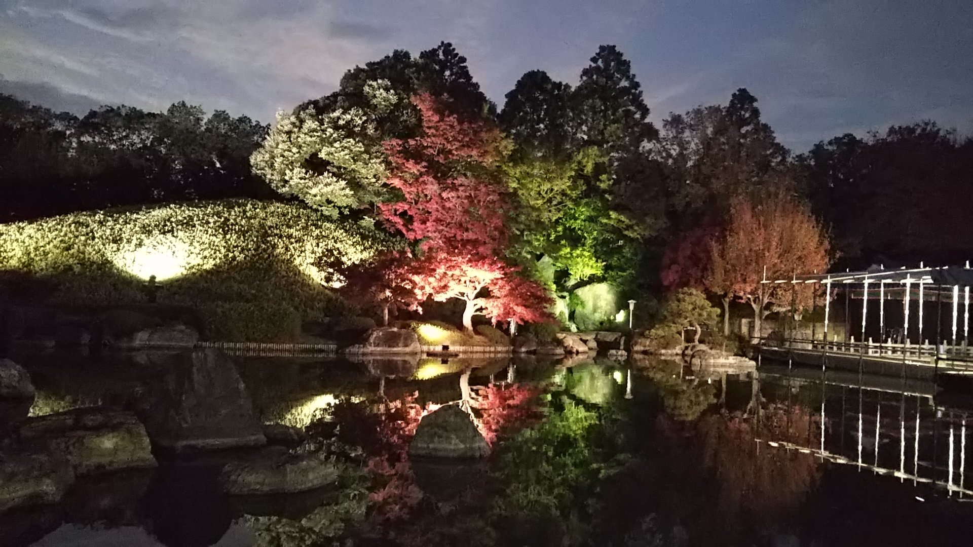 永藤 英機 堺市長 大仙公園日本庭園 明日11 26から12 1まで夜間特別開園です 美しい紅葉に彩られた本格日本庭園をぜひお楽しみください 堺市hp T Co Nikqgjmdas T Co Dkuugxbuuz Twitter