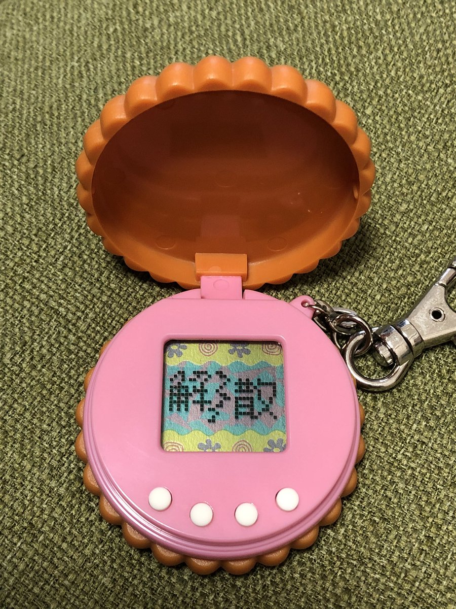 ポケットビスケッた