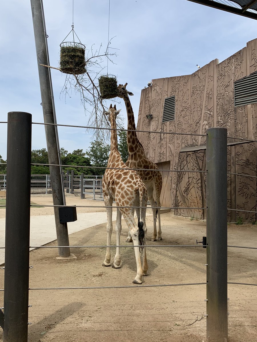 The Enviroclub celebrating 2019 with a day @tarongazoo