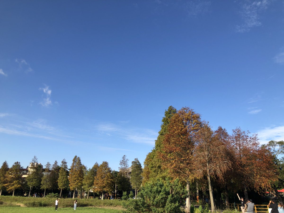 FTICN's tweet photo. 20191124

🍃 落羽松 🍂
慢慢的轉紅、黃
天氣好
怎麼拍都美 🌲

來拍的人真的不少

昨天的陰雨
今天的晴天
天氣差太多了

#台灣 #桃園 #桃園景點 #大溪 #大溪景點 #落羽松 #taiwan #travel #trip #photo #yolo #nature #手機攝影 #原圖 #打卡景點 #写真 #ig_wo82208 https://t.co/ZPgXgRyENy