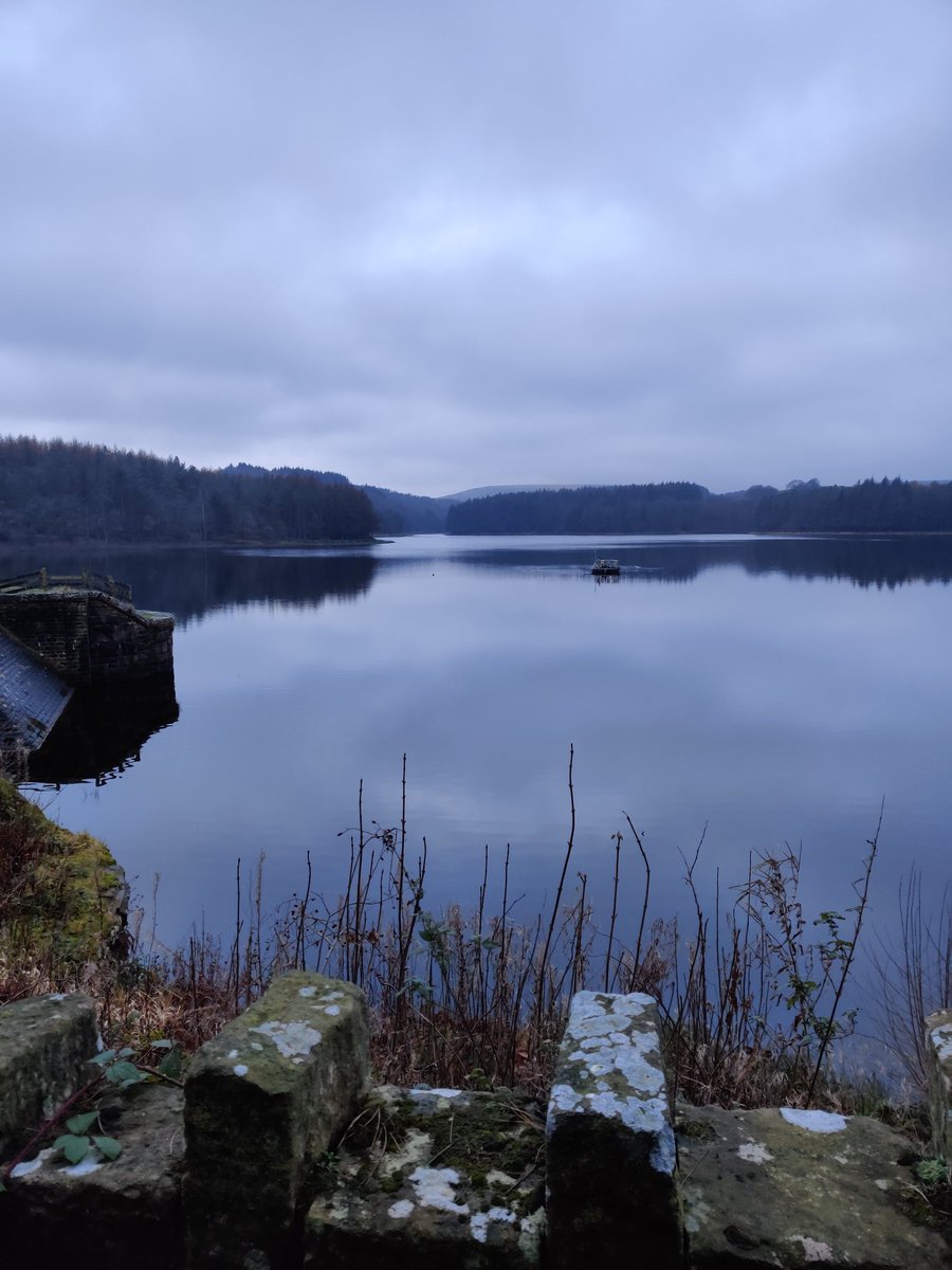 Emma Greenwood (she/her)🌍💚 tweet media