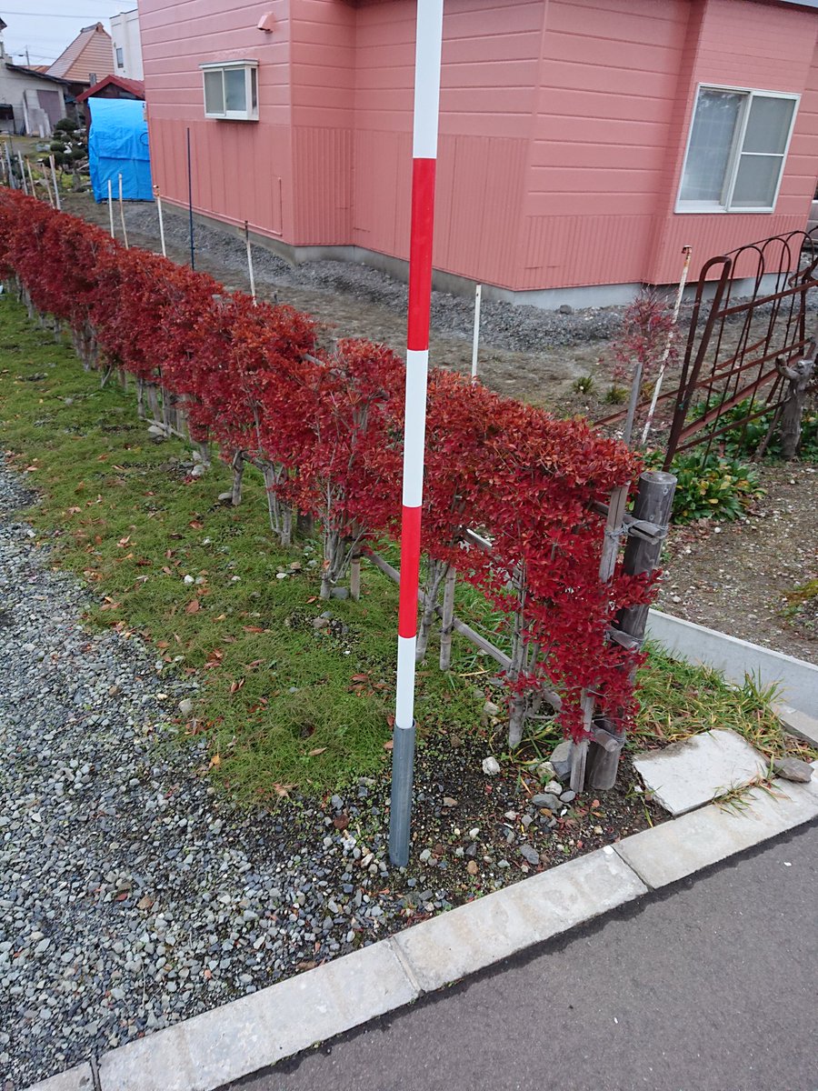 クロちゃん 青森市地域おこし協力隊員 駐車場に刺さってる鉄パイプなんだろって思ってたんだけど なるほど こういう仕組みになっていたのか 雪国 スノーポール クロちゃん 青森市地域おこし協力隊員 駐車場に刺さってる鉄パイプなんだろって思ってたんだけど なるほど こういう仕組みになっていたのか 雪国 スノーポール