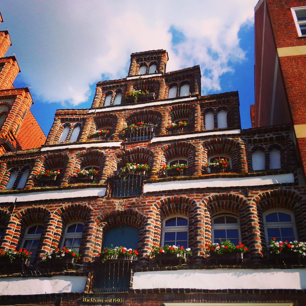 ねことふくろう ドイツ リューネブルク Luneburg Germany Germany Luneburg ドイツ旅行 リューネブルク まちなみ 旅好きな人と繋がりたい 旅行好きな人と繋がりたい