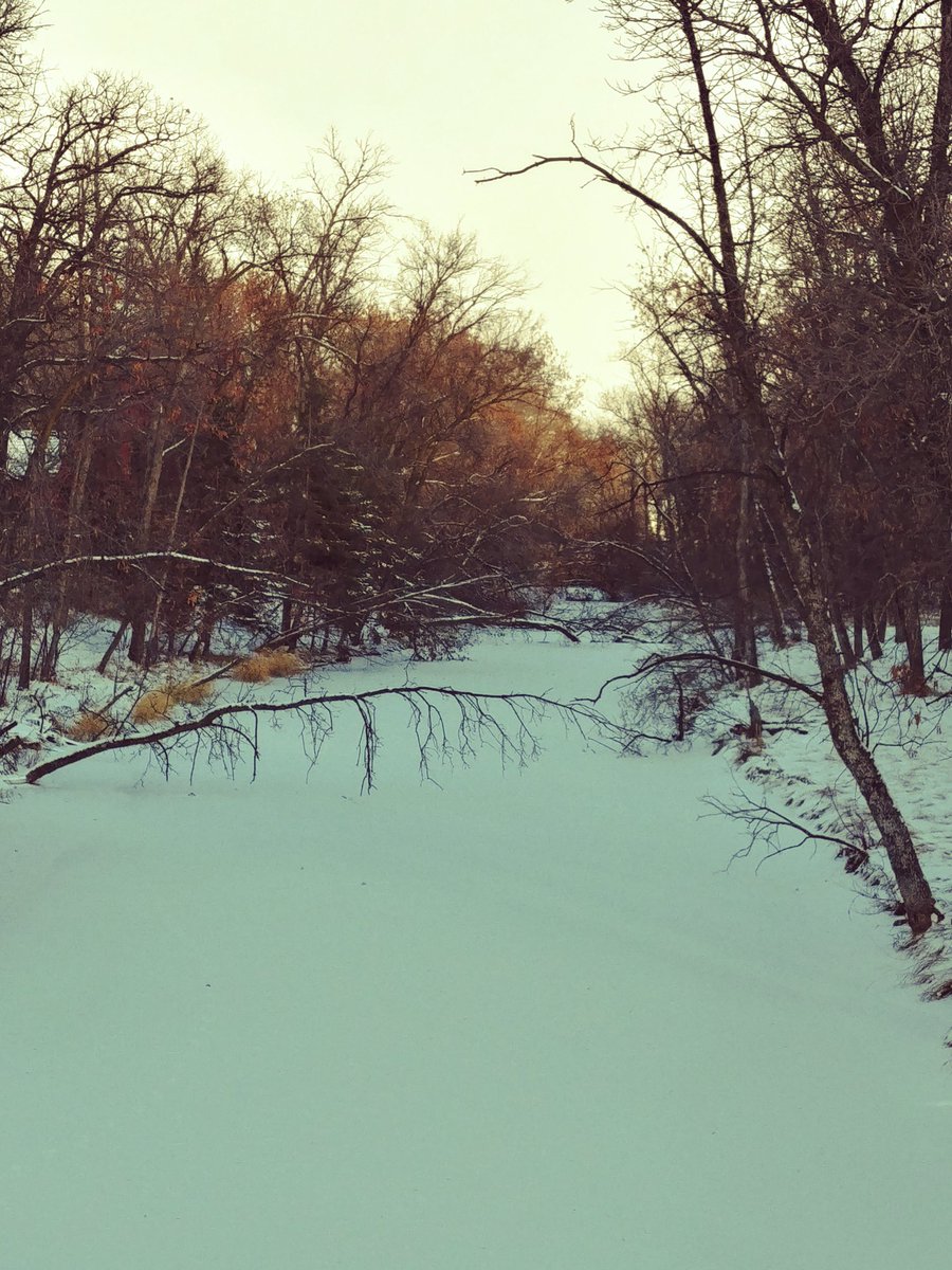 wpgBeris's tweet photo. Sign the Petition. Advocate for Save our Seine at City Hall Monday November 25th 4:30 pm. Become a volunteer. Donate. Save the Seine.
#SeineRiver #SaveourSeine #Winnipeg
https://t.co/RJMHjyw0UL https://t.co/8MqnH9tPLw