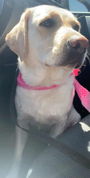 This is my first night trying to stay in my new apartment. I signed the lease an hour and a half before<a href="/tag/realloyalfans"class="tags"><span>#realloyalfans</span></a>