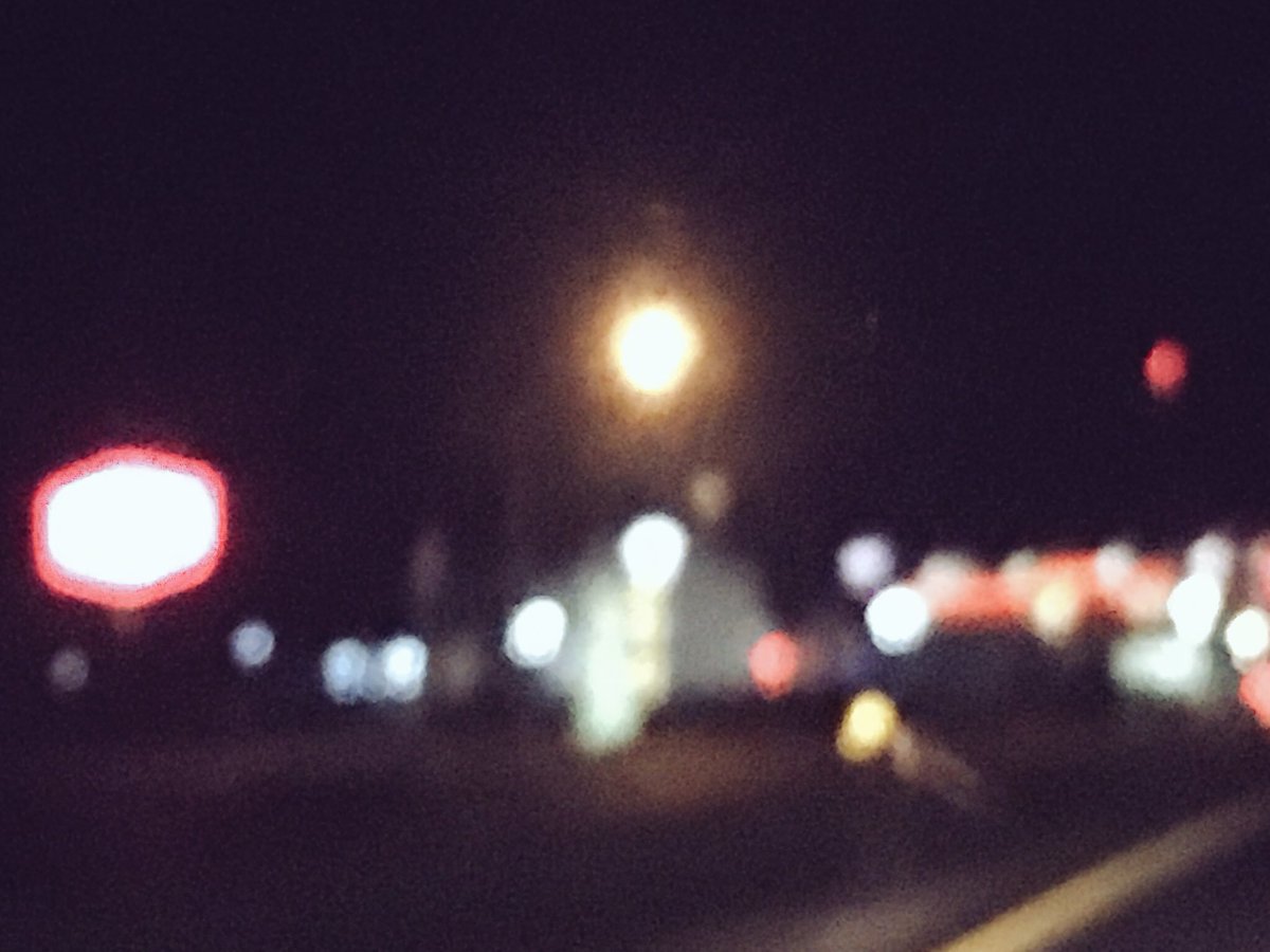 Learning to take photos. Surely no human can guess who is me teacher. ;3