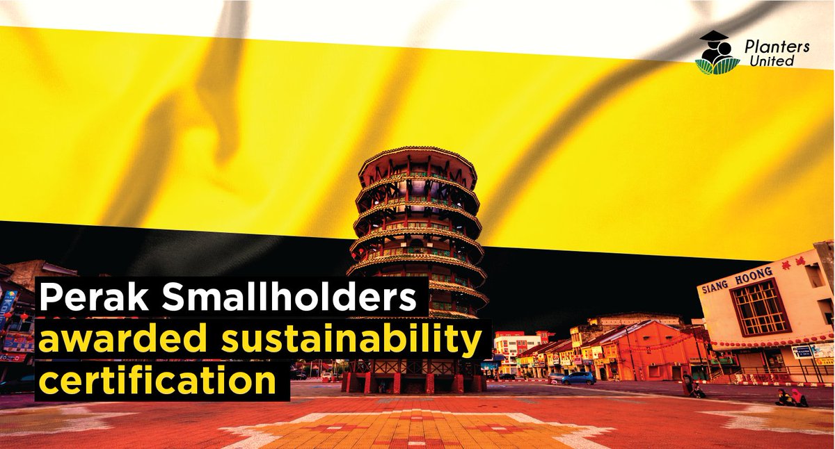 plantersunited's tweet photo. After months of hard work to be complied with the requirements, more than 300 oil palm smallholders of the Wild Asia Group Scheme were awarded the sustainability certification. 

#LoveMYPalmOil #SayYesToPalmOil #LetTruthWin #PalmOil #Malaysia #PlantersUnited #BapakAkuPeneroka https://t.co/K8wj7HQ65v