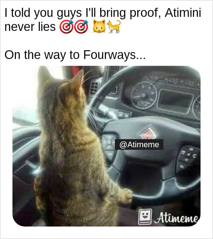 Atimeme_'s tweet photo. #CatDriver #ifalakhe #bonang #DownloadAtimemeApp https://t.co/IfQNn4o1Ww