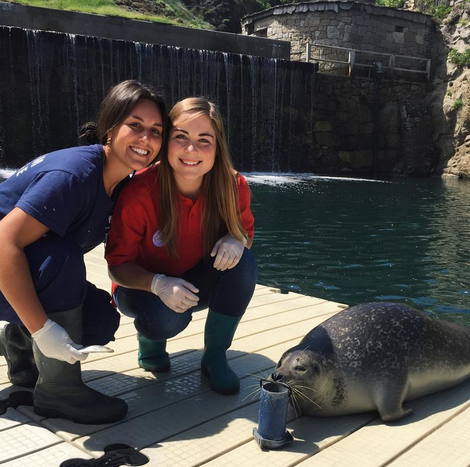 Explore your passions with <a href="/Lingho_abroad/">Linguistic Horizons</a> Internship Abroad program in Spain! Learn more here: buff.ly/2LGGR6n