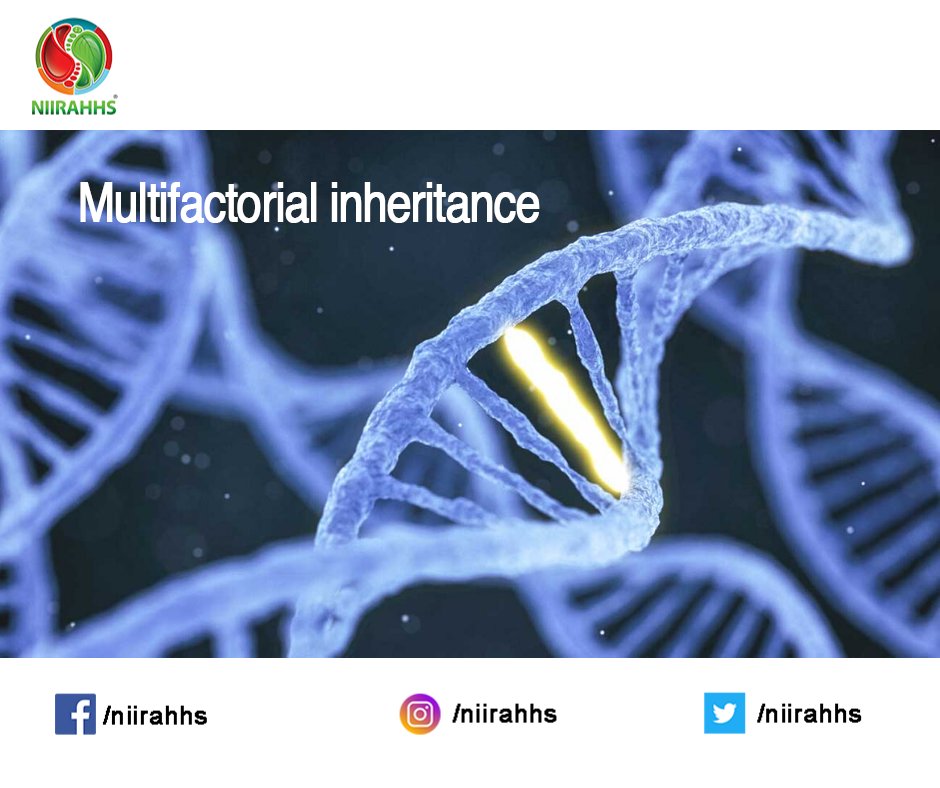 Multifactorial Inheritance