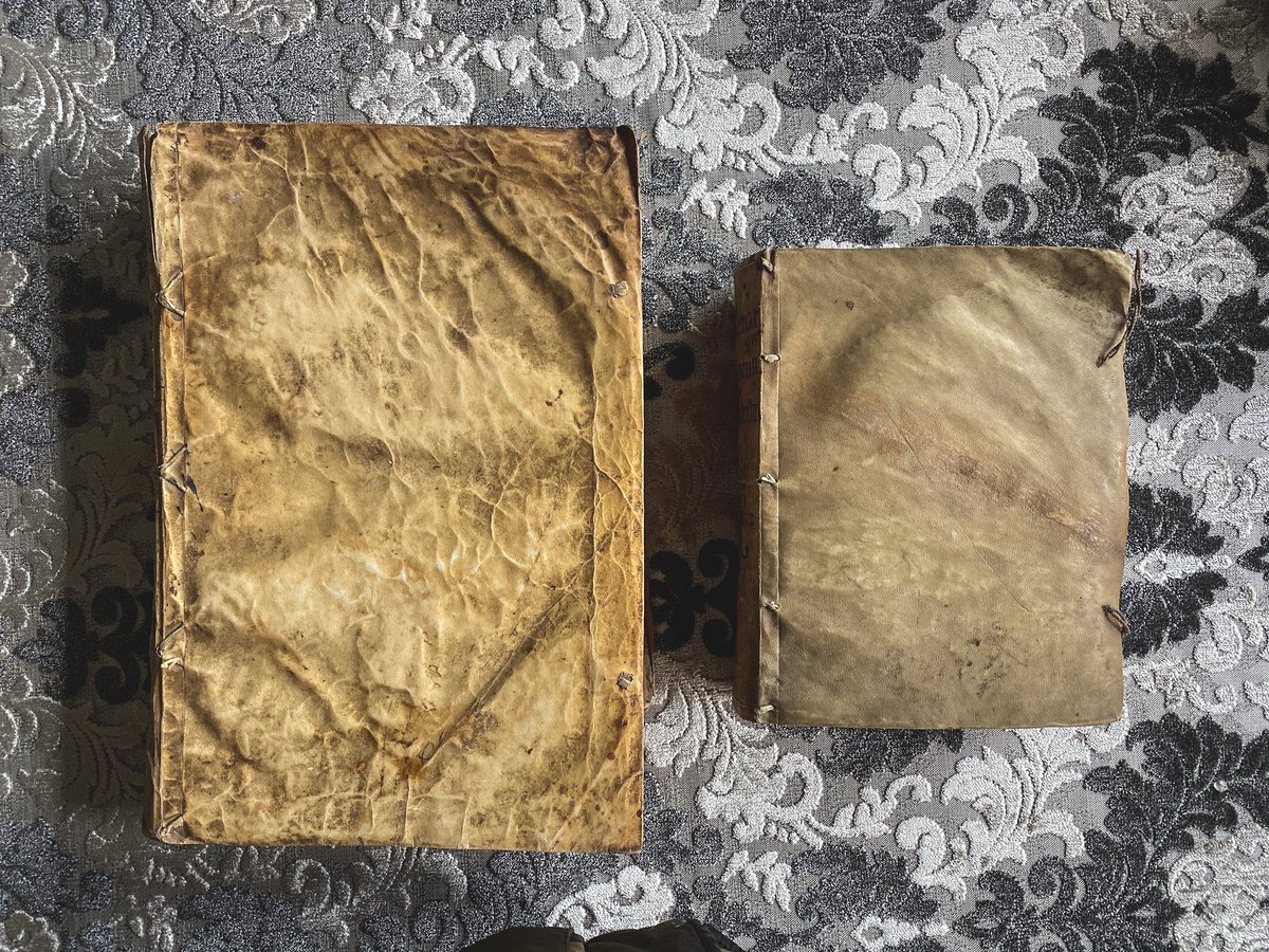 羊皮紙 羊皮紙