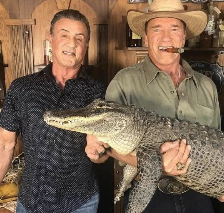 シュワちゃん・スタローンの2ショットもすごいけどｗ周りの情報量の多さにびっくりｗｗｗ