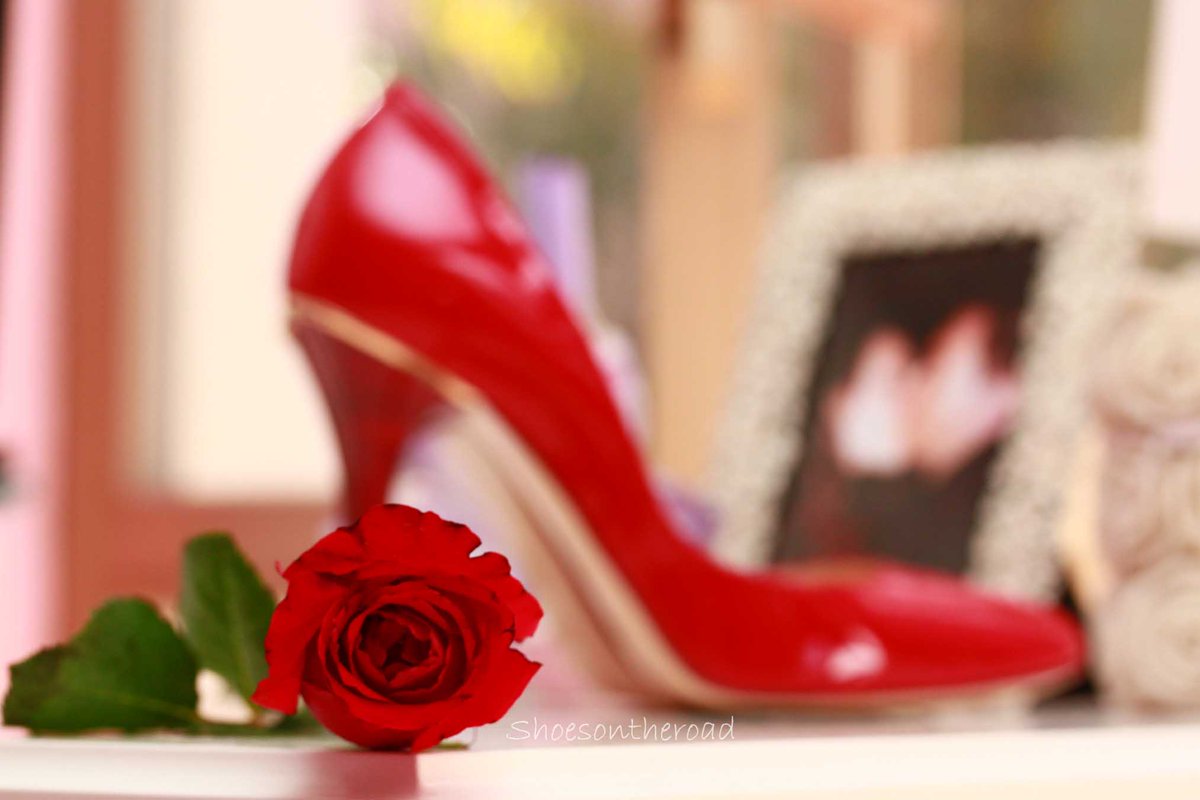 Dida_ti's tweet image. Donna che non sente dolore
Quando il freddo gli arriva al cuore
Quello ormai non ha più tempo
E se n'è andato soffiando il vento..

Mia Martini🎙

               🌹🌹🌹🌹🌹
#giornatacontrolaviolenzasulledonne 

Stop a tutte le violenze che uccidono l'Amore. Conquiste per la vita