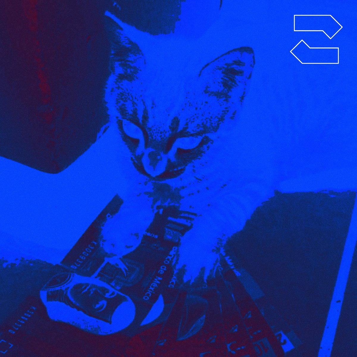 xedraism's tweet image. Just released a new track, perhaps the very first one hosted on ENS + IPFS ever? | @ensdomains @IPFSbot
💿 hexadecima.zplit.eth
🔗 hexadecima.zplit.eth.link
#ethereum #distributedweb #web3 #electronic #idm #analog #acid #techno