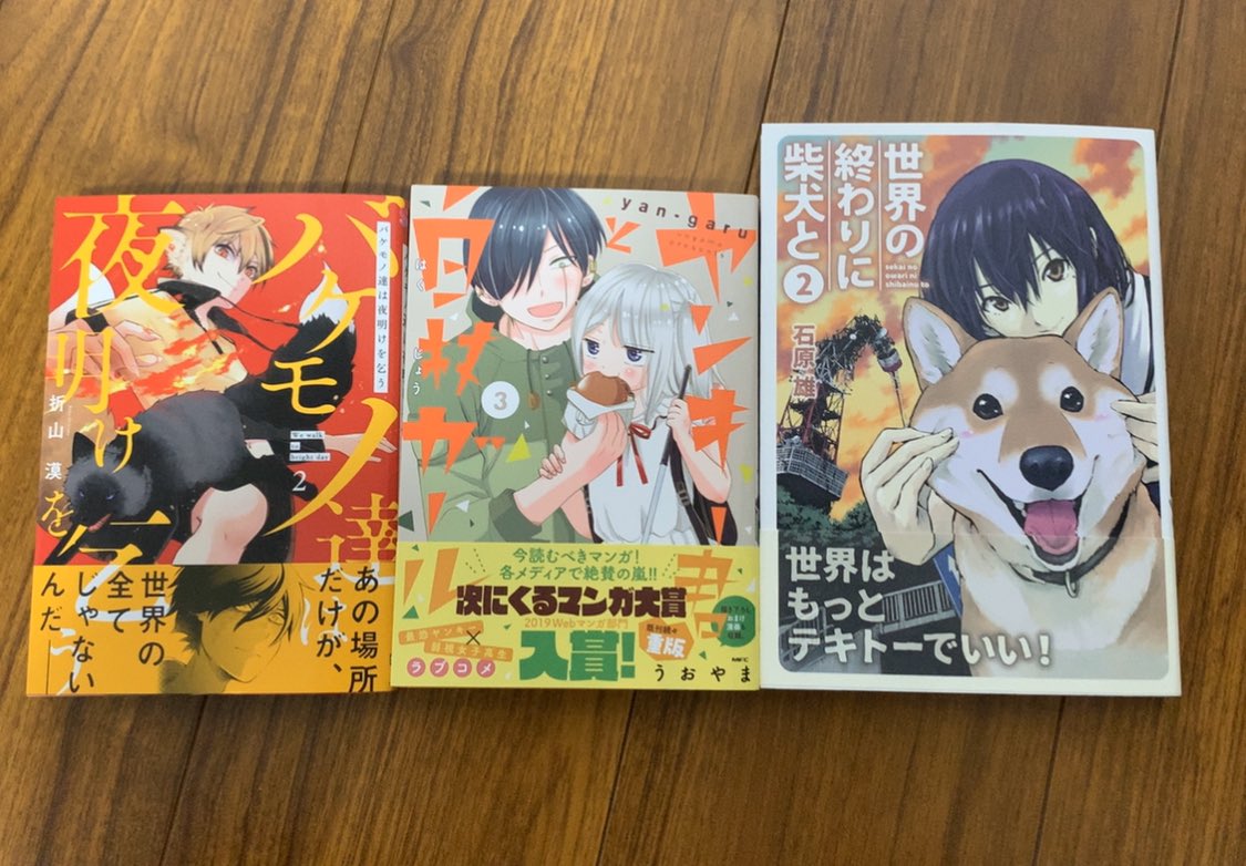 世界の終わりに芝犬と