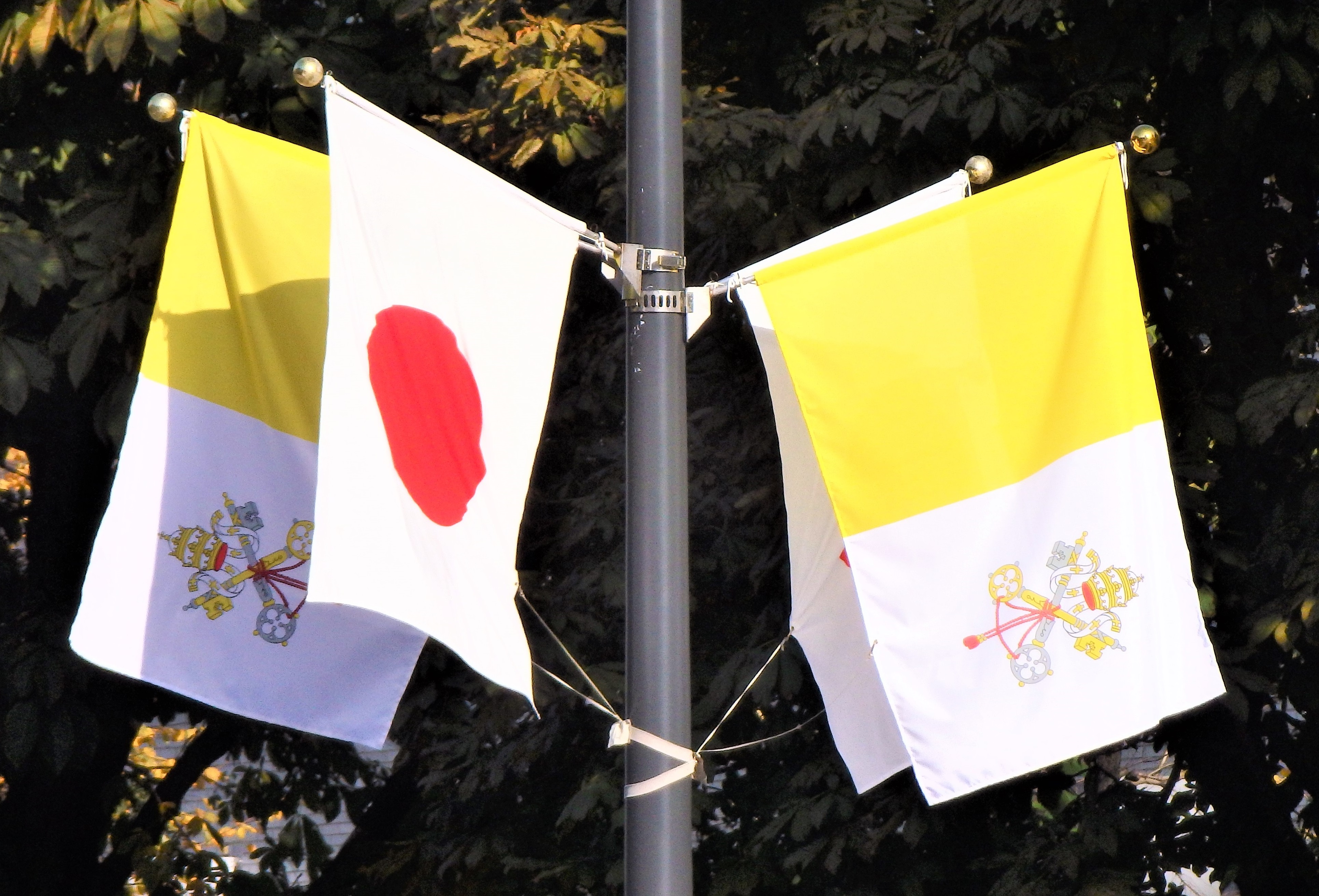 外務省やわらかツイート 街路旗 ローマ教皇フランシスコ台下が 日本を訪問中です 外務省周辺をはじめとした霞が関近辺の街路には バチカン市国 と日本の国旗が掲げられています T Co Dq3xrrgakv Twitter