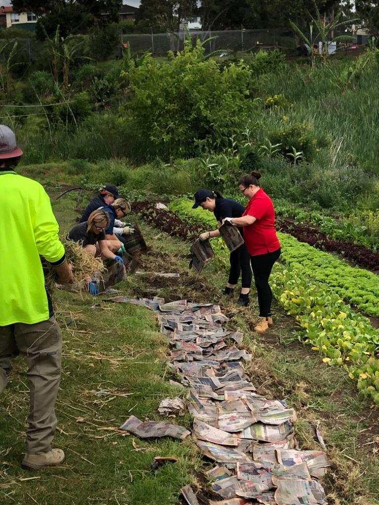 Green Connect tweet media