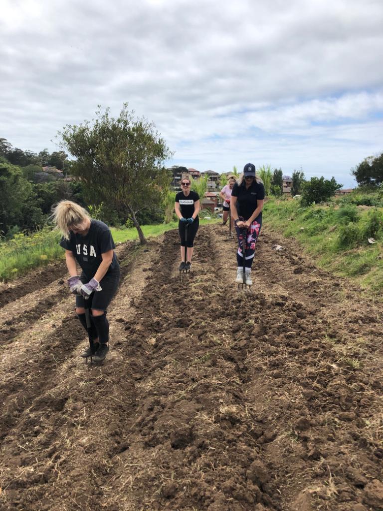 Green Connect tweet media