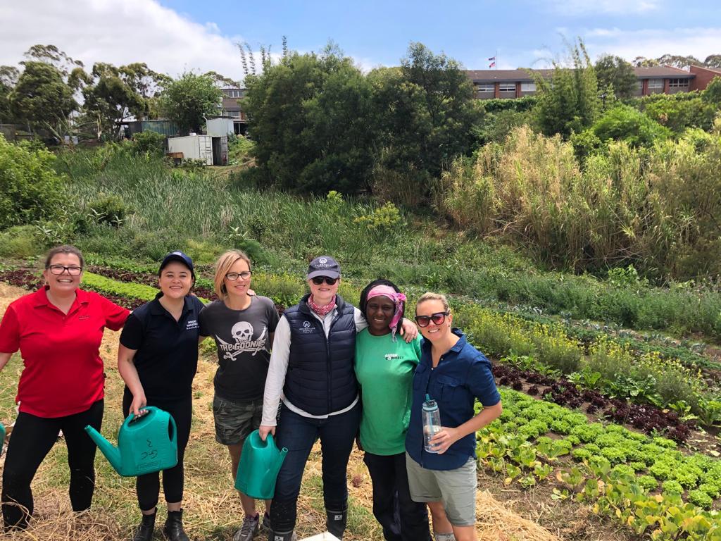 Green Connect tweet media