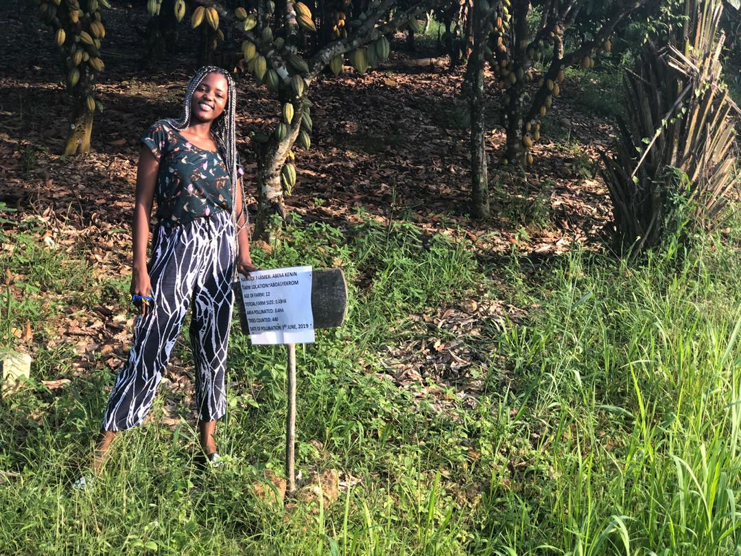 bbnasiba's tweet photo. Local girl found a cocoa farm on her way to Tarkwa, I was like a child in a bookshop. I was pleased to find out that the farm is owned by a woman! Local girl just had to take photos in honor of Tetteh Quarshieπ #iSpaceTour #EntrepreneurshipTour #iNet #Traveller https://t.co/WUmPgCkWMb