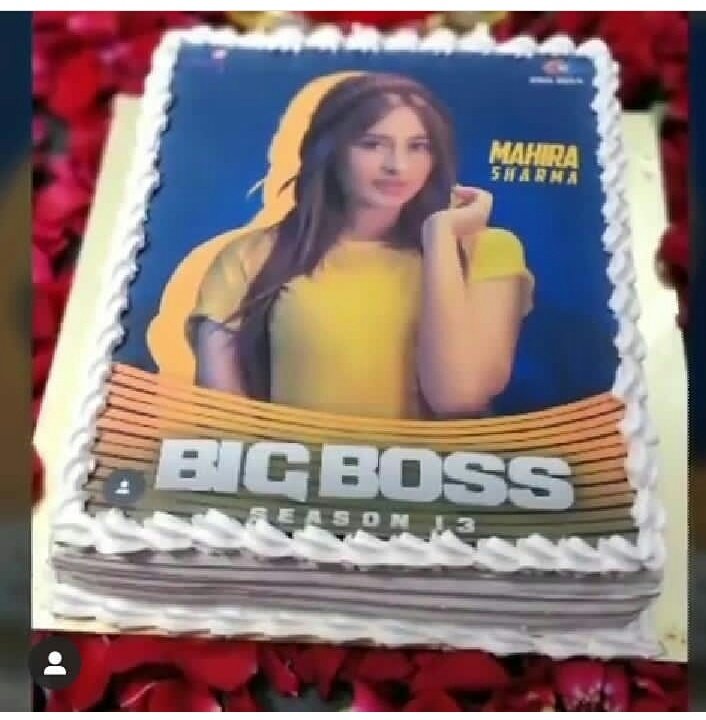 MahiraParas's tweet photo. #WeLoveYouMahira #HappyBirthadayMahiraSharma @ColorsTV @EndemolShineIND @justvoot https://t.co/csfm09yzRf