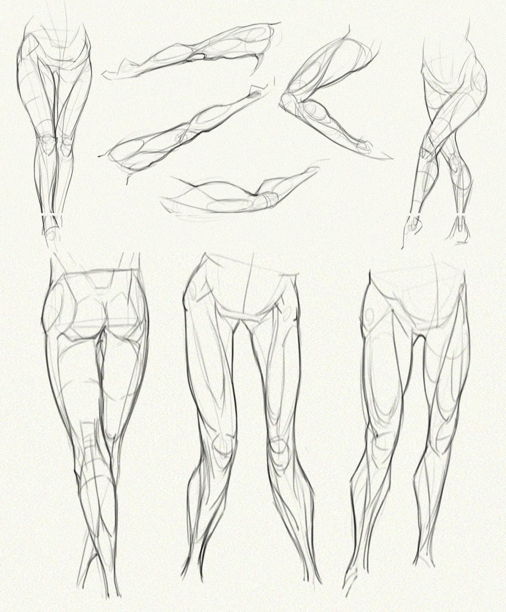 Anatomy of female drawing reference  그리기 튜토리얼, 드로잉 강좌