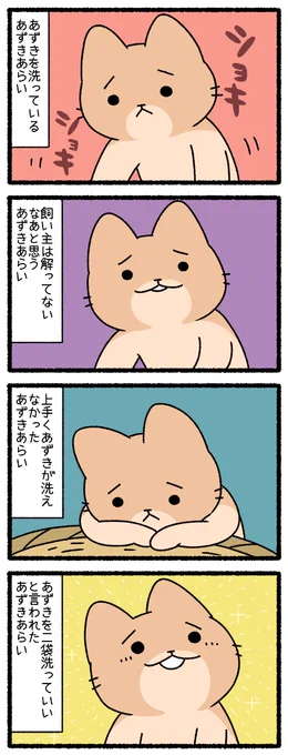 ねこようかいの単行本、四巻「ねこようかいショキショキ」発売中です。真ん中にあずきあらいがいるカバーが目印です。よろしくお願いします!Amazon #ねこようかい 