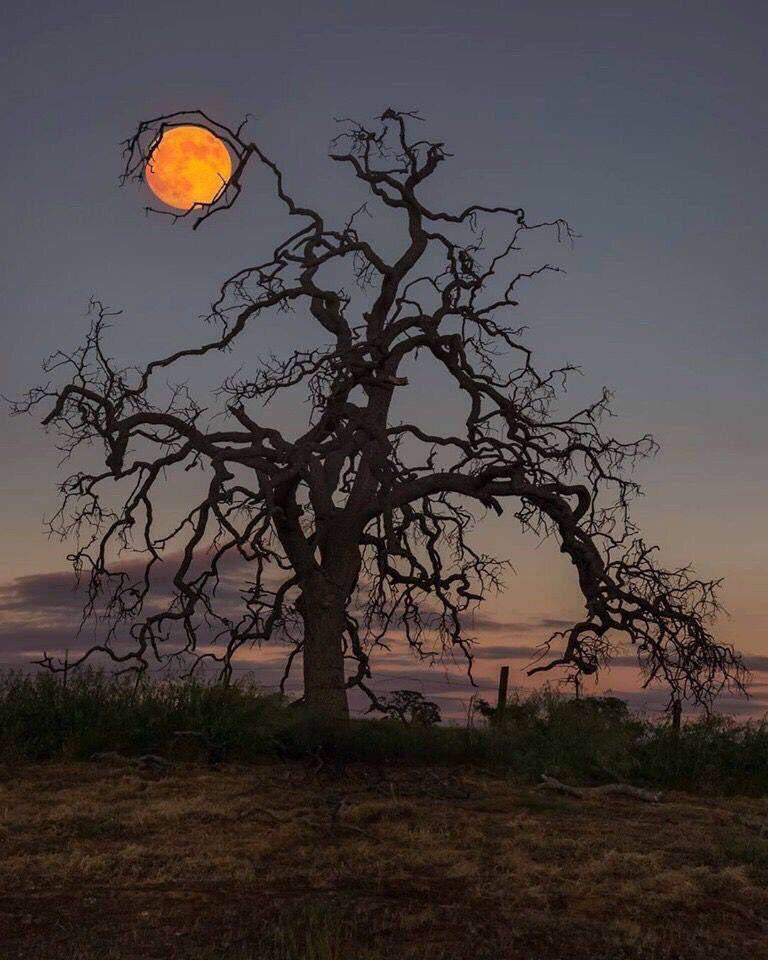 AvatarDomy's tweet photo. Where do you think you’re going mister Moon ?? https://t.co/cRBiUKdCLH