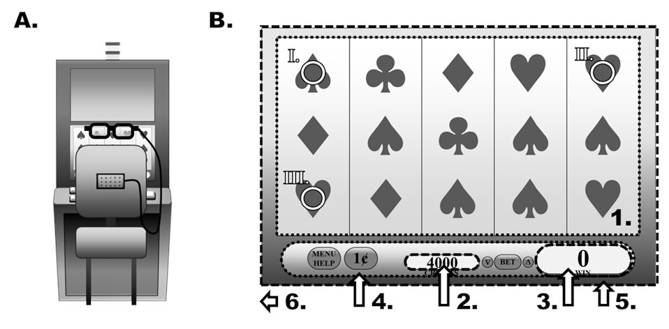 Processing the data, we divided the slot machine screen into several areas of interest, including: 1. The spinning reels2. The credit window readout3. The win window (like the credit window, but displays win size instead of remaining credit). 5/15