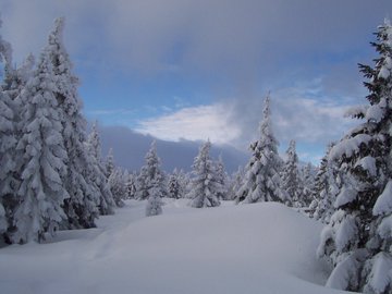 marmottewandern's tweet photo. Jetzt anmelden! #Wanderreise Schneeschuh-Hüttenwanderung Riesengebirge 17.-24.01.2020 https://t.co/hfX76yDTsI  #Marmottewanderreisen #Frauen #marmotte #wanderreisen #snezka #wandern #marmottewandern #schneeschuh #riesengebirge  #schneekoppe #hiking #trekking #vonhuettezuhuette https://t.co/FAVKsrsfKy