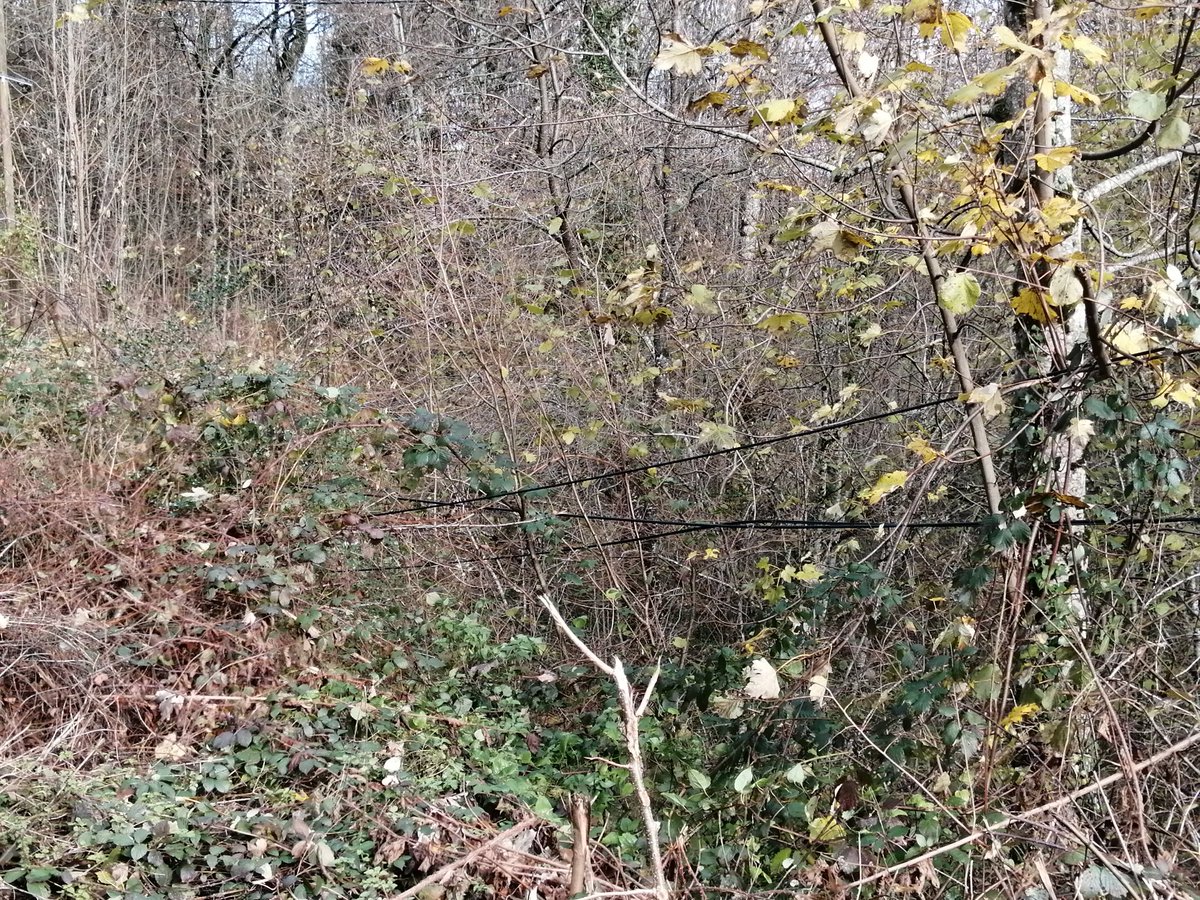 gabriel_maffre's tweet photo. #CheminsdeCampagne Etat du réseau téléphonique et internet honteusement délabré depuis des années #Lacaze #tarn oublié par @orange @GroupeScopelec Au bout du chemin, des personnes âgées isolées, empêchées de communiquer. Une législation + forte s'impose @philippefolliot https://t.co/W85Ge5kbiP