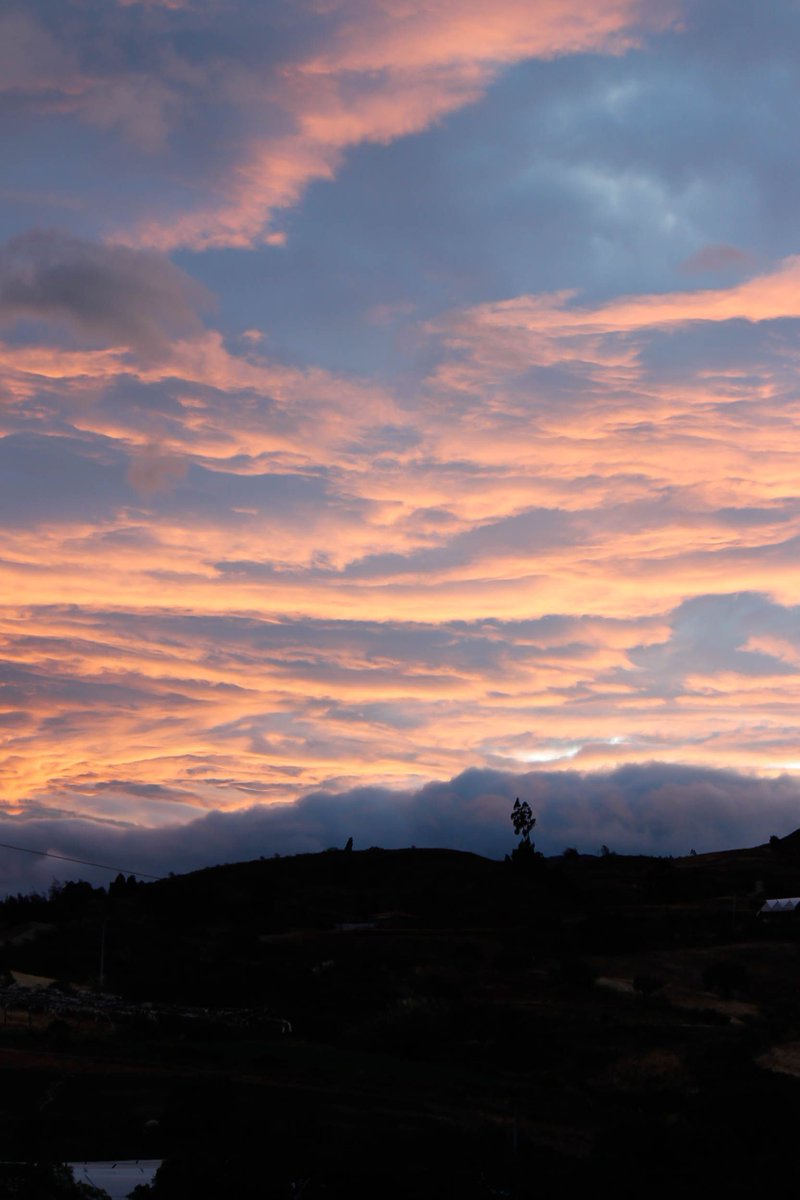 Despertando con el rumor de los pájaros  ✨  #CasaDeAnnyAlNatural