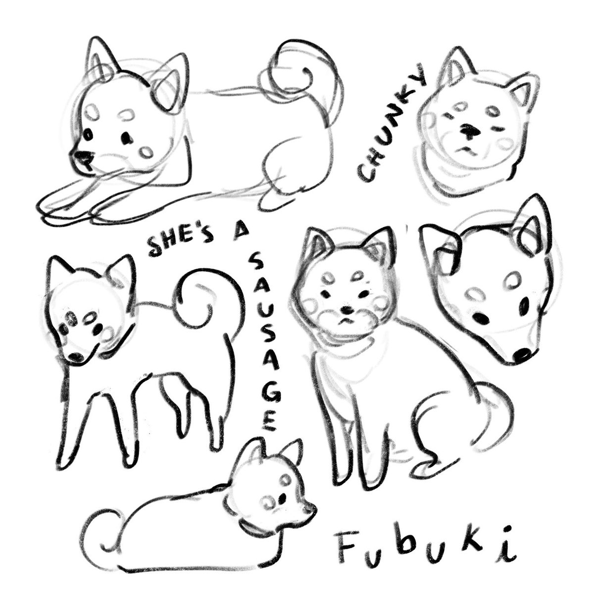 Fubi sketches 