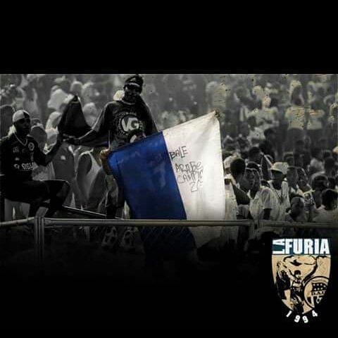 Furia Colonense tweet media