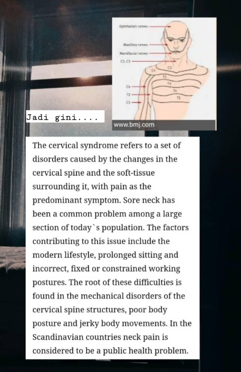 🌹🚀 tweet media