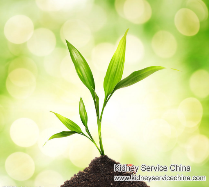 Can High Creatinine Level 700 Be Reduced to 300 without Dialysis
High creatinine level is a severe condition that should be treated seriously. 
kidneyservicechina.com/high-creatinin…