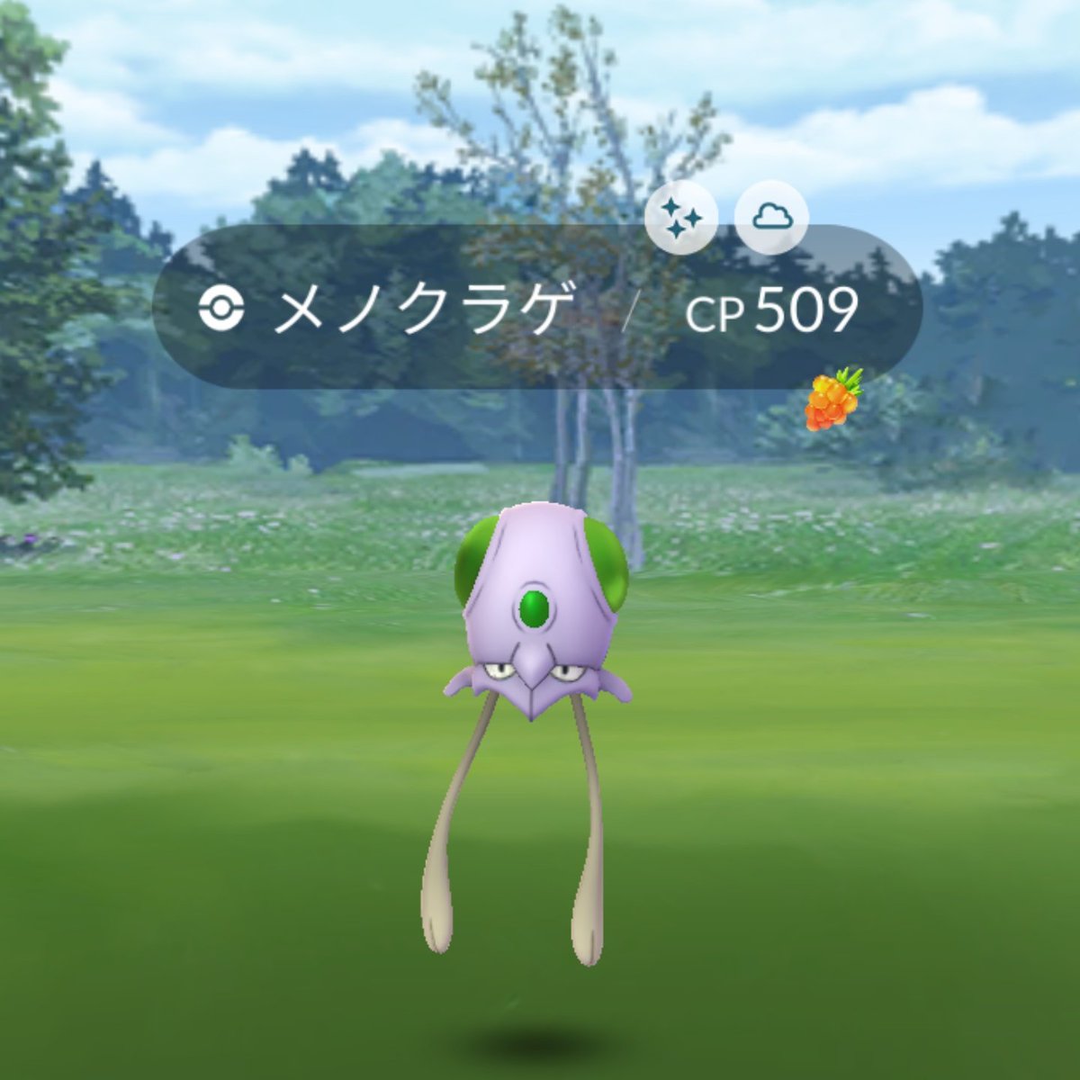 色違いメノクラゲ