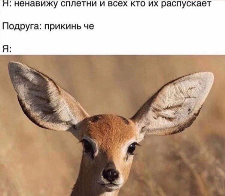 EKNJ3qGXkAAehSh?format=jpg&name=900x900